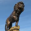 Lion ("Rex") by Jon D. Hair 
Queens Univ. Athletic Complex Tyvola Rd.
